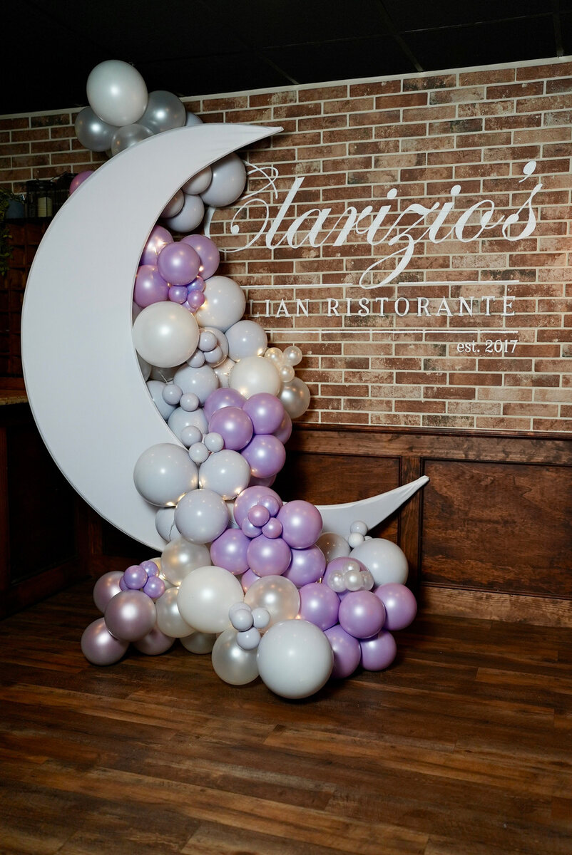 White Moon Backdrop